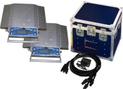 PT 300 2 Scale Systems