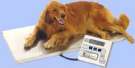 www.1-800-scales.com/Pictures/VET400.jpg