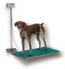 www.1-800-scales.com/Pictures/dog-floorstand.jpg