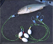 www.1-800-scales.com/Pictures/float-tags.gif